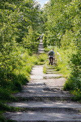 Old broken footpath in the green thickets.