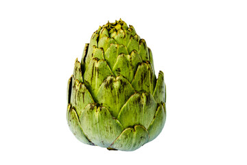 Obraz premium Fresh green artichoke on white background