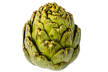 Obraz premium Fresh green artichoke on white background