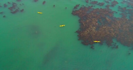 AERIAL Kayakers in bay of old whaling station / Grytviken, South Georgia, British Overseas Territory