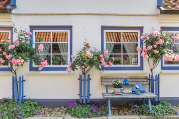 Fototapeta na wymiar Pink roses in front of a little house in Holm, Germany