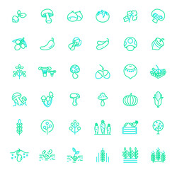 Set of vegetable and veggie icons line style. It contains such Icons as nature, tree, olive, mushroom, cucumber, chili, pepper, pumpkin, farm, acorn and other elements.