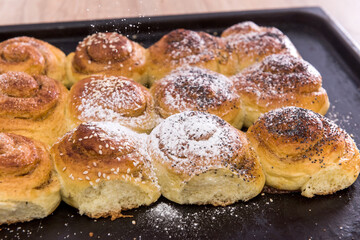 Tasty baked and sprinkled with powdered sugar bagel and bun