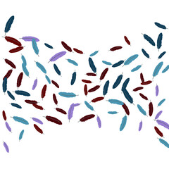 Colorful feathers. Prints of Colored feathers Design for Goods for Pets. Simple Pattern for Print, Logo or Poster. Vector Confetti Background.
