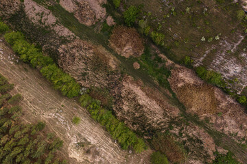 Obraz premium Aerial top view of rocks and tree, mountain ecosystem and healthy environment concept and background, Texture of green tree, stones and land