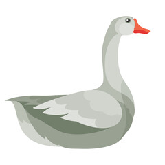 natural gray goose from a farm, isolated object on a white background, vector illustration,