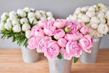 Different varieties of peonies in a metal vases. Beautiful peony flower for catalog or online store. Floral shop concept . Beautiful fresh cut bouquet. Flowers delivery