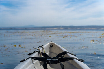 Kayaking through the kelp in the Pacific Ocean offshore of Cannery Row in Monterey, California