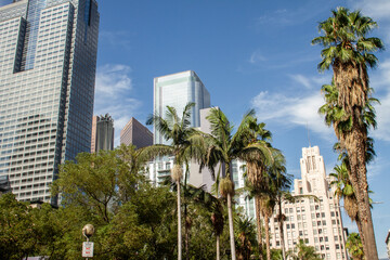 Downtown Los Angeles California Cityscape View Palm Trees Buildings