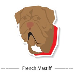 french mastiff