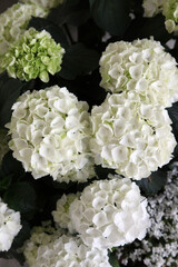 Beautiful white and blue imitation hydragrea flowers in blue and white vase