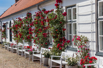 Facade with red roses at the courtyard of the castle in Glucksburg, Germany