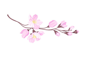 Blooming Cherry Branch with Tender Pink Flower Blossoms Vector Illustration