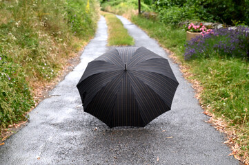 Umbrella under the rain in the middle of the road
