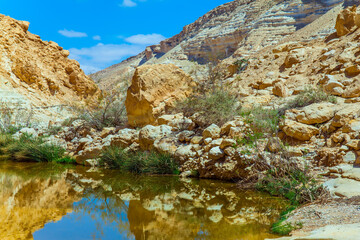 Creek Zin flows through the canyon Ein Avdat