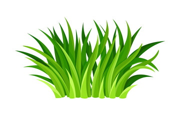 Green Grass Blades or Herbage as Forest Element Vector Illustration
