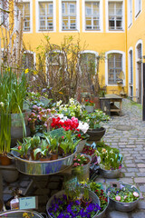 Fototapeta na wymiar Flower shop in small courtyard l in Leipzig
