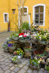 Obraz na płótnie Canvas Flower shop in small courtyard l in Leipzig