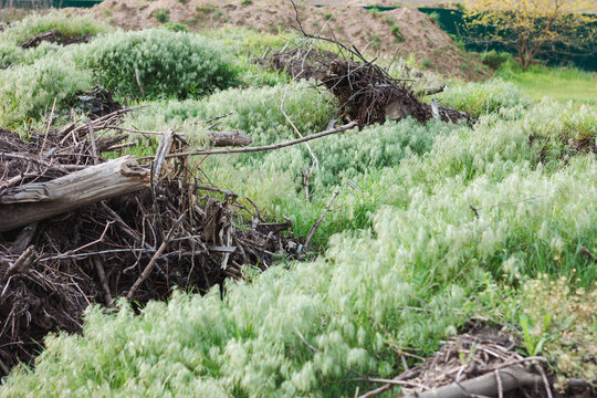 Garbage and debris scattered in a field with buildings in the background during the day