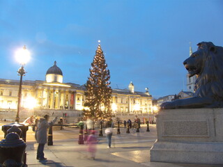 Fototapeta na wymiar London, UK, Trafalgar square at Christmas