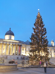 London, UK, Trafalgar square at Christmas - obrazy, fototapety, plakaty