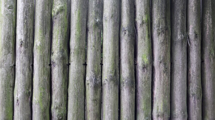 The fence is built of logs. Gray background. Rough logs wall vertical background. Old wood, natural wall material