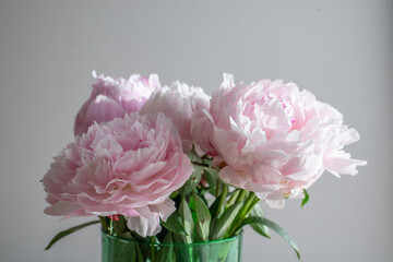 Beautiful pink peony background in vintage style. Beautiful flowers, peonies. A bouquet of pink pawns background.