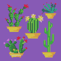 cross stitch cactus © Оля Коваль