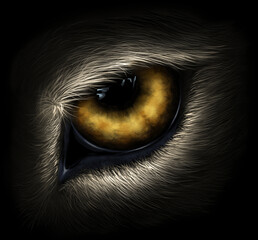 Wolf eye © Refluo