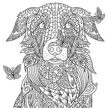 Dog's face with butterflies on its nose. Funny illustration of a pet. Good mood for dog lover. Vector illustration. Coloring book page for adult. Outline art with doodle and zentangle elements.