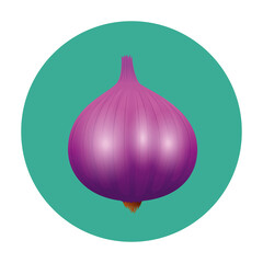 garlic design, Vegetable organic food healthy fresh natural and market theme Vector illustration