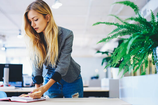 Half length portrait of attractive young professional working teacher in university interior.