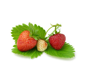ripe red juicy strawberries lies on a green leaf