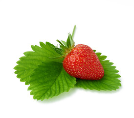 ripe red juicy strawberries lies on a green leaf