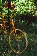 old bicycle in the garden