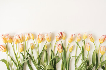 Flowers composition with many yellow tulips on white background. Flat lay, top view festive holiday celebration hero header