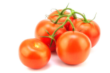 tomatoes hang on a green branch on a white background