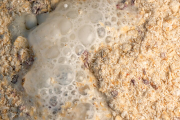 Instant oatmeal porridge with blueberries