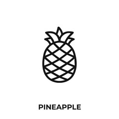 pineapple icon vector. pineapple icon vector symbol illustration. Modern simple vector icon for your design.