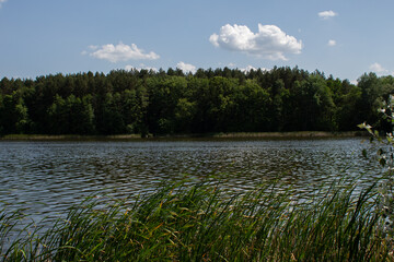 big lake in the forest with clear sky