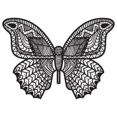 Intricate butterfly design