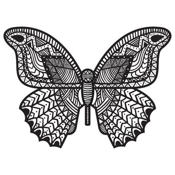 Intricate butterfly design