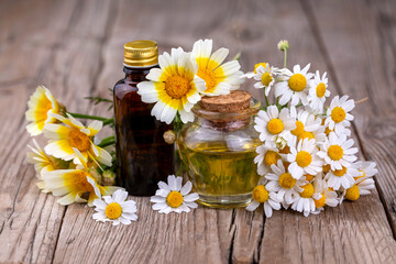 White daisy oil on the wooden background