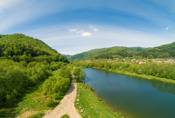 Fototapeta na wymiar Mountain river on a sunny day. Nature landscape. Carpathian Mountains, Opir river, Skole, Ukraine, Europe