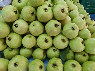 Organic green guava, sold in community stores Is a fruit that is very high in vitamin C. Suitable for those who control weight because it is rich in dietary fiber Scientific name Psidium guajava L.
