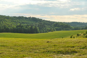Polska - Mazury - Warmia.  Krajobraz.