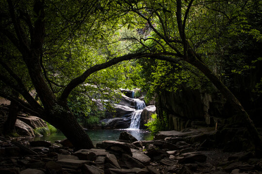 Waterfall in the middle of a forest