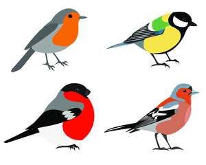 set of birds: Robin, Finch, great tit, bullfinch vector isolated