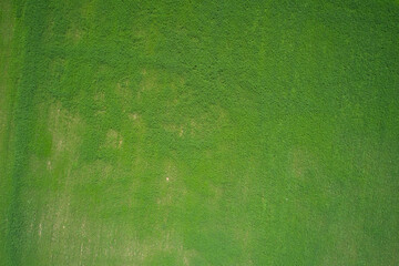 Green grass aerial view high altitude