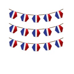 france flag buntings